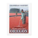Cranberry Bogs Harvest - Port Orford, Oregon Postcards