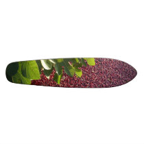 Cranberry Custom Skateboard
