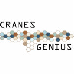 Cranes Genius photo sculptures