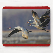 Cranes Mouse Pad