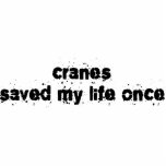Cranes Saved My Life Once photo sculptures