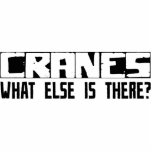 Cranes What Else Is There? photo sculptures
