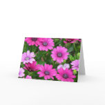 Cranesbill Geranium (Pink Flowers) Greeting Card