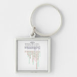 Cranial Nerves japanese 12 Key Chain