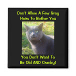 Cranky Cat Humour magnets