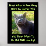 Cranky Cat Humour posters