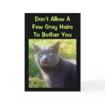 Cranky Cat Humourous Birthday Card