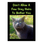 Cranky Cat Humourous Birthday Card