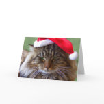 Cranky Christmas Cat Card