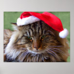 Cranky Christmas Cat Fine Art Print