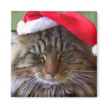 Cranky Christmas Cat Magnet