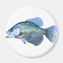 Crappie 2011 refrigerator magnets