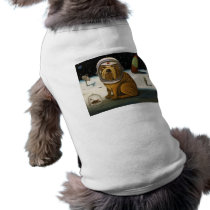 Crash 2  Not Again! Dog Clothes