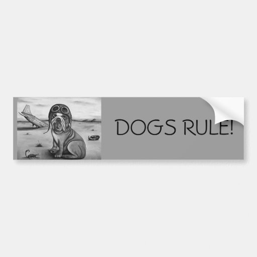 Crash Bumper Sticker