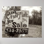 Crawfish [Art Print]