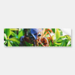 Crawfish Crawdads Crayfish Bumper Stickers