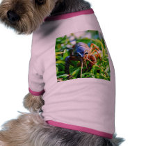 Crawfish Crawdads Crayfish Pet T-shirt