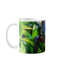 Crawfish Crawdads Crayfish Mug