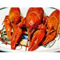 Crawfish Crawdads Craytfish Acrylic Cut Out