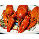 Crawfish Crawdads Craytfish photo sculptures