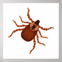 Crawly Realistic Tick Illustration Posters