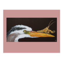 Crayfish Learns to Leap postcard