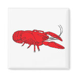 crayfish magnets