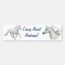 Crazy About Arabians Bumper Sticker