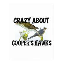 Crazy About Cooper's Hawks Postcards