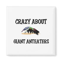 Crazy About Giant Anteaters