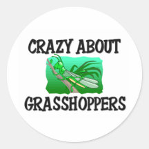 Crazy About Grasshoppers Round Stickers