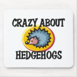 Crazy About Hedgehogs