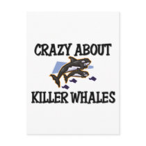Crazy About Killer Whales