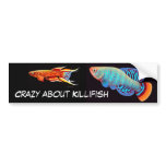 Crazy About Killifish Bumper Sticker