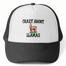 Crazy About Llamas