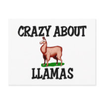 Crazy About Llamas