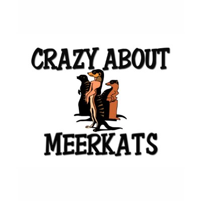About Meerkats