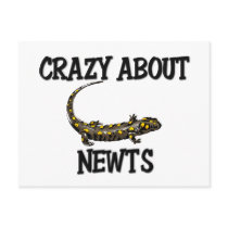 Crazy About Newts