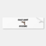 Crazy About Opossums Bumper Stickers