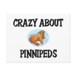Crazy About Pinnipeds
