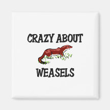 Crazy About Weasels Fridge Magnets