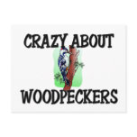 Crazy About Woodpeckers