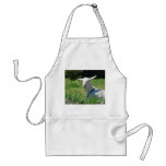 Crazy Amish Goat Apron