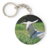 Crazy Amish Goat Keychain