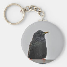 Crazy Bird Key Chain