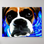 crazy boxer posters