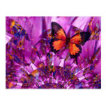 Crazy Butterfly Post Cards