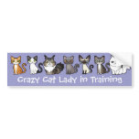 Crazy Cat Lady in Training (design your own cat) bumper stickers