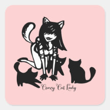 Crazy Cat Lady Stickers