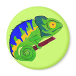 Crazy Chameleon magnets